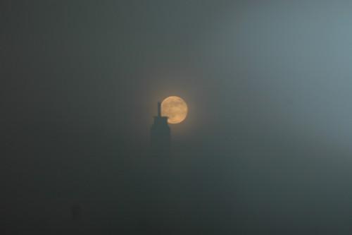 Pleine lune dans la brume du loup garou?